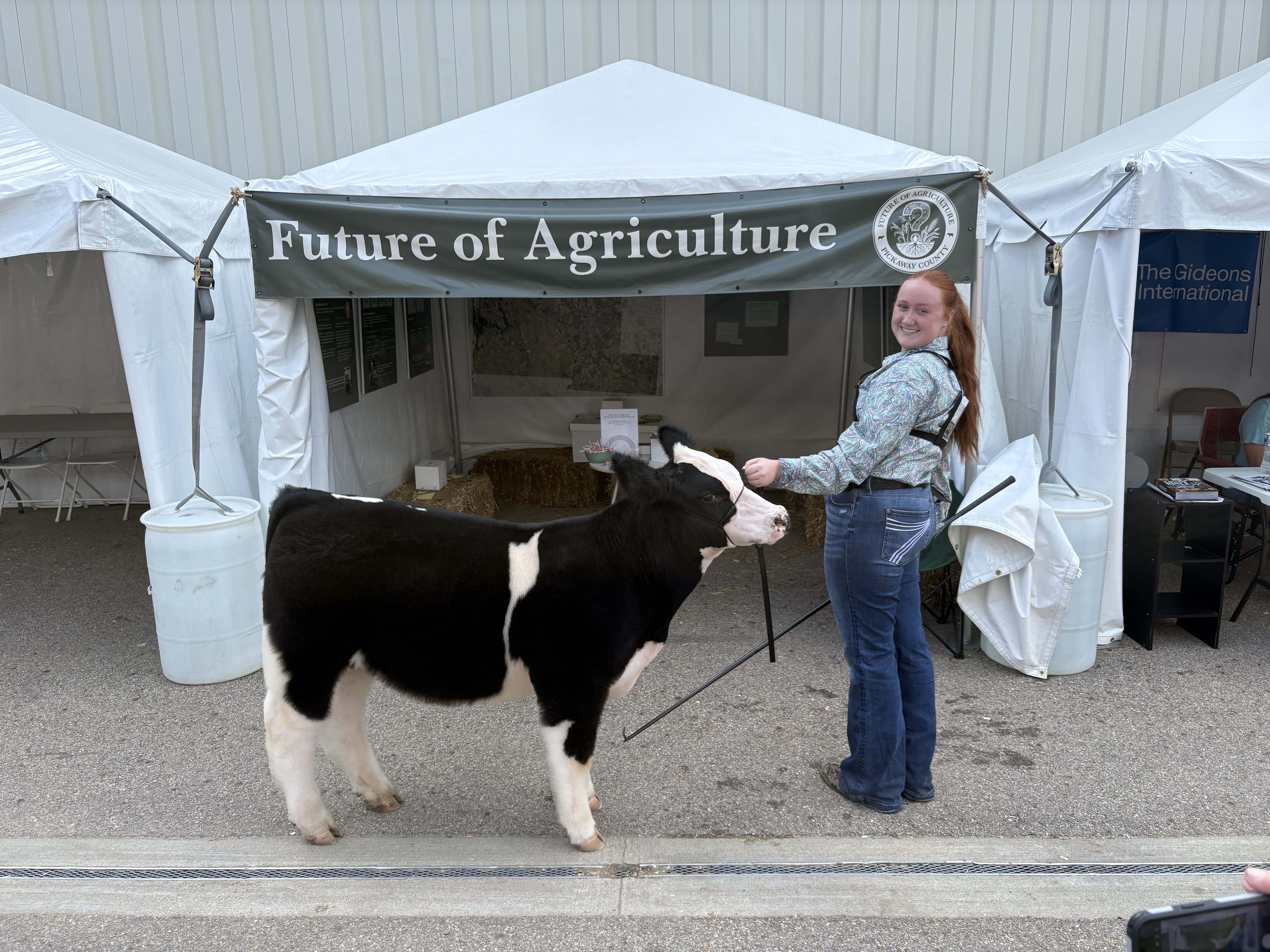 Kimber Cook with her Grand Champion Feeder Calf, Hank the Tank, at the Pickaway County Fair
